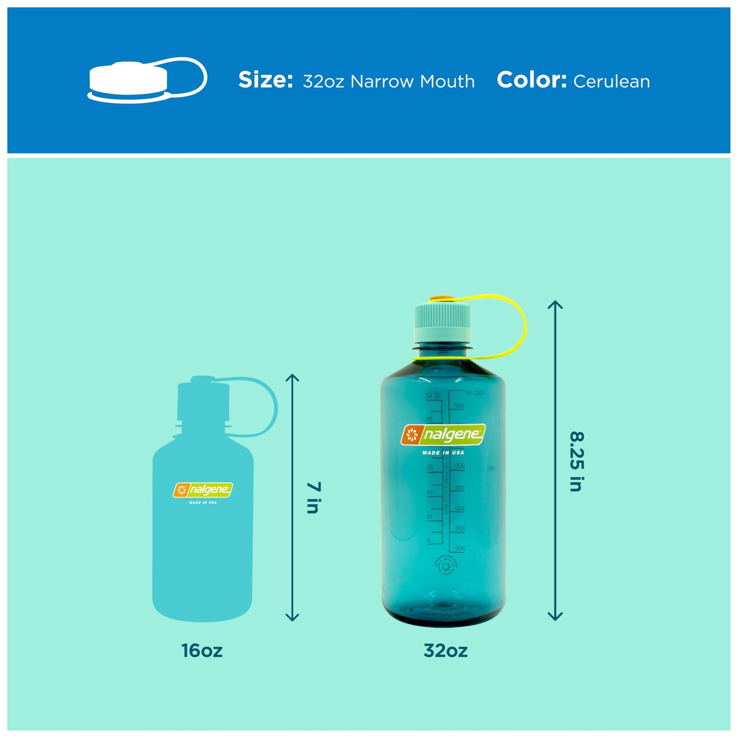 Nalgene 32 oz Narrow Mouth Water Bottle | BPA-Free, Durable & Leak Proof, Lightweight Bottle for Hiking, Gym & Travel, Cerulean