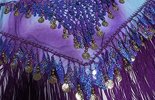 Purple Belly Dance Hip Scarf with Tassels Sequins & Coins - One Size Lauthen.S