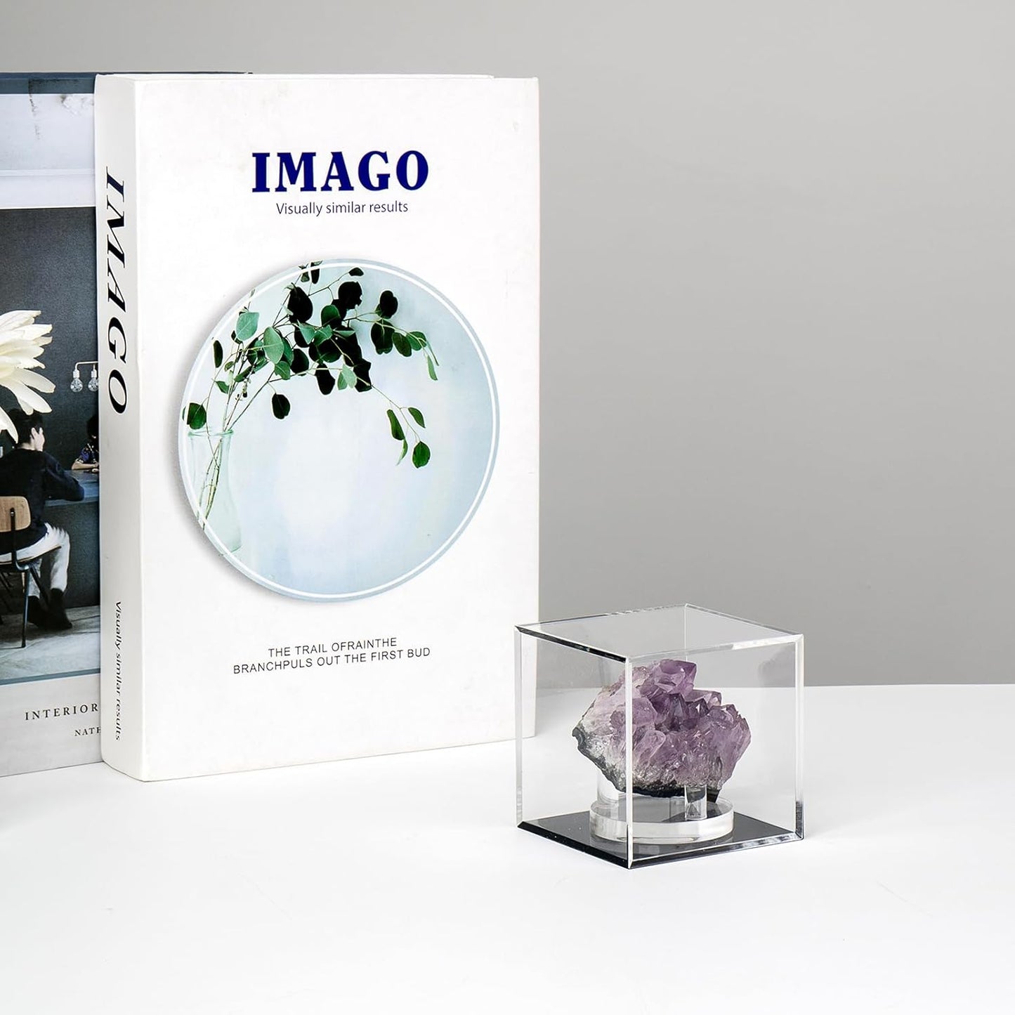 Skiennix Clear Acrylic Display Box - Dustproof Storage Organizer for Collectibles | 3x3 Inch