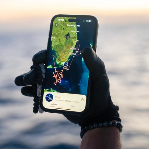 Fahlo Shark Tracking Bracelet – Track a Real Shark’s Journey – Supports Wildlife Conservation – Elastic, One Size Fits Most – on Interactive Mobile App Map – Unisex Ocean Conservation Gift (Coral Reef Pink)