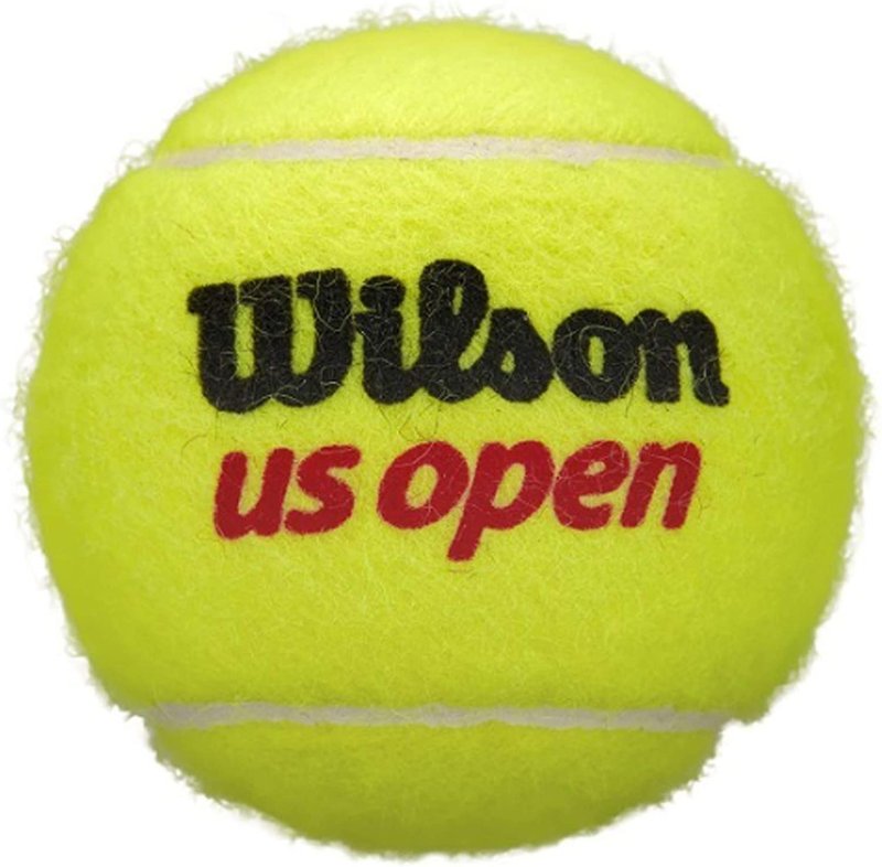 WILSON US Open Tennis Balls - Extra Duty, 24 Can Case (72 Balls)