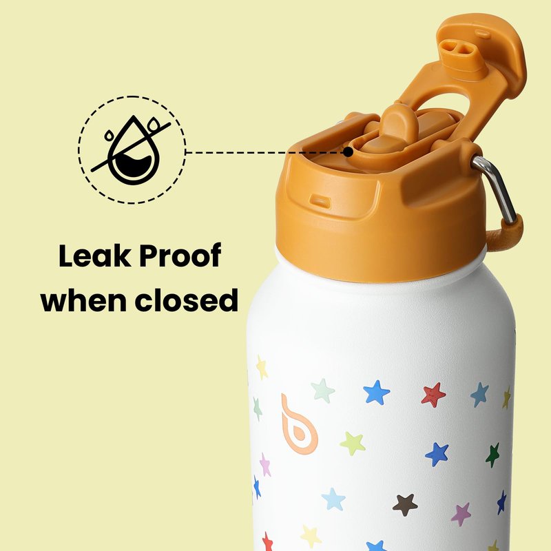 BOTTLE BOTTLE 32oz Insulated Water Bottle Stainless Steel Sport Water Bottle with Straw Dual-use Lid Design for Gym with Pill Box (Stellar Pop)