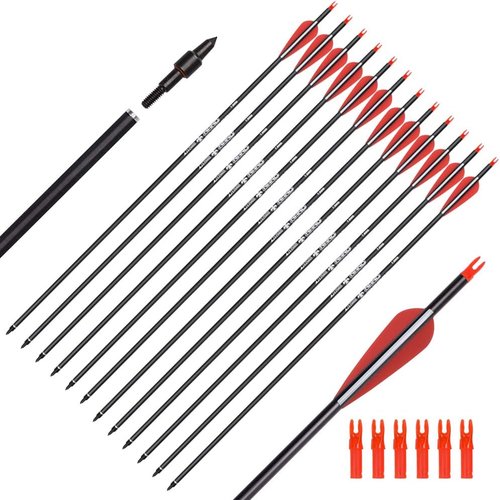Archery Carbon Arrows for Hunting & Target Practice - Removable Tips, 26-30 Inch, 500 Spine, 6/12 Pack