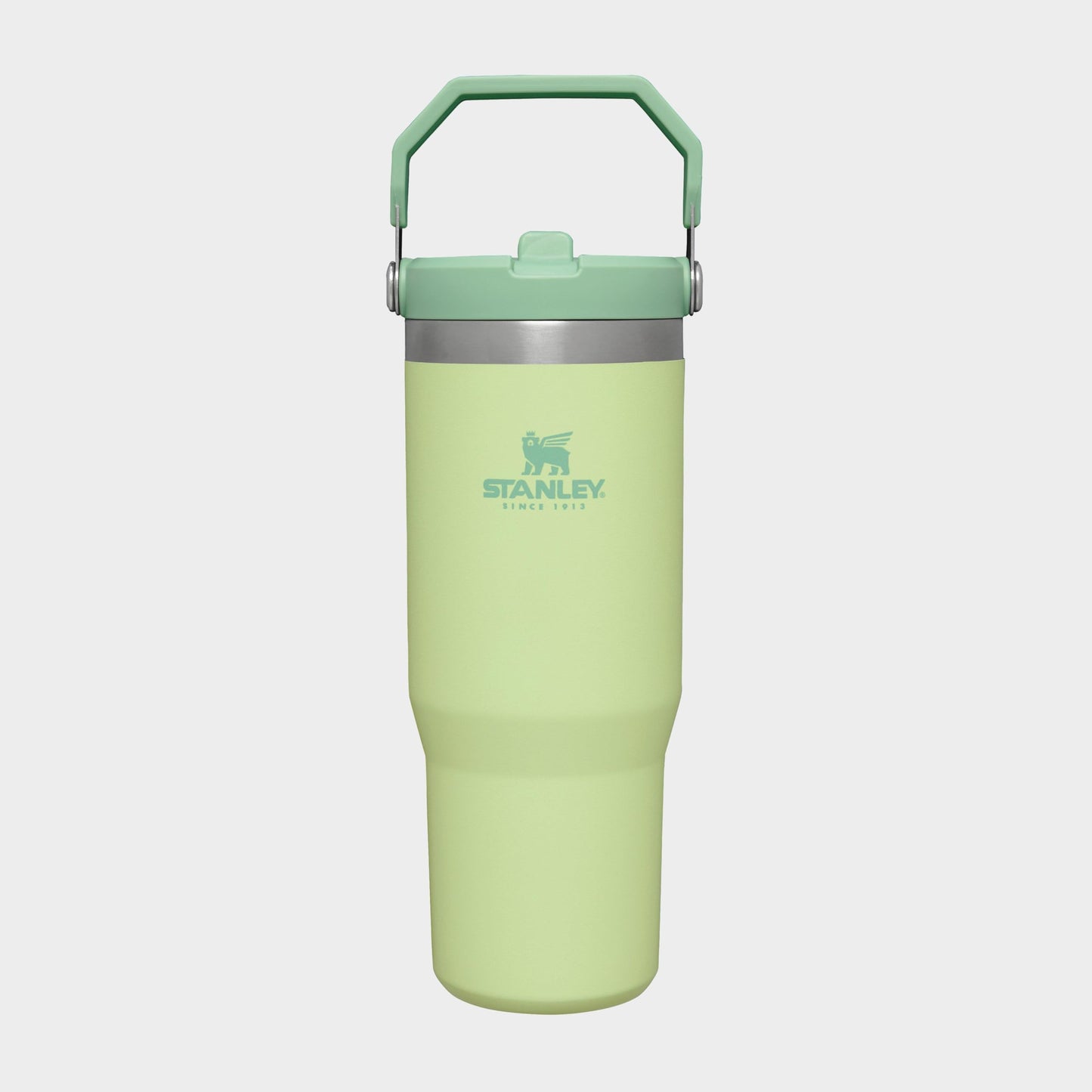 Stanley IceFlow Flip Straw Tumbler with Handle 30 oz | Twist On Lid and Flip Up Straw | Leak Resistant Water Bottle | Insulated Stainless Steel |BPA-Free | Citron