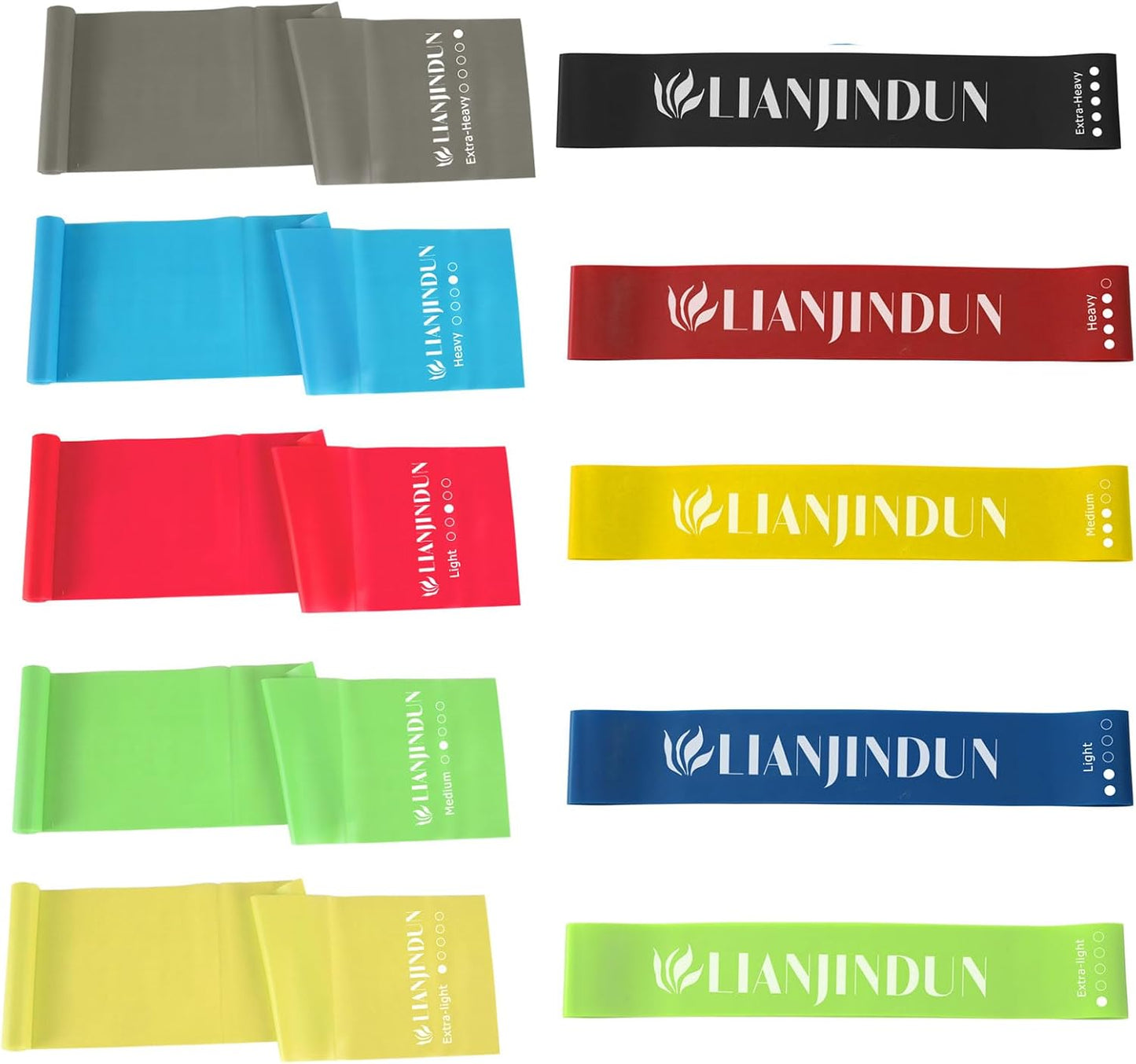Skiennix Professional Resistance Bands - Set of 10 for Strength Training & Flexibility