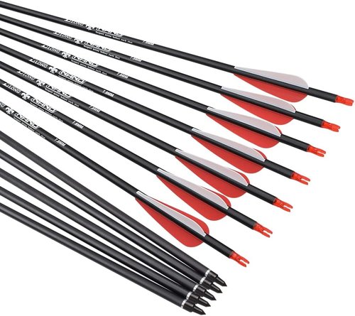 Archery Carbon Arrows for Hunting & Target Practice - Removable Tips, 26-30 Inch, 500 Spine, 6/12 Pack