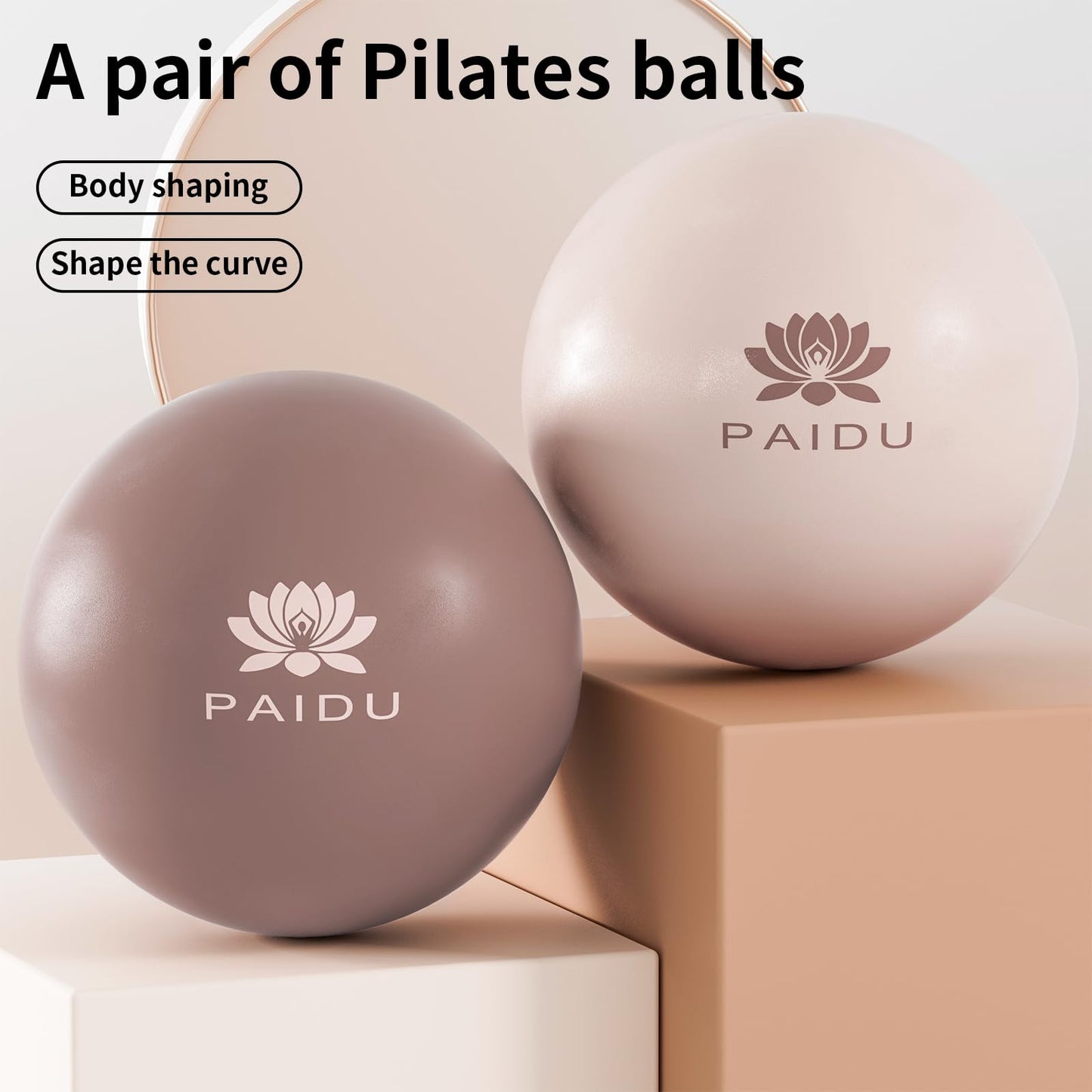 PAIDU Pilates Ball 10-inch Core 2pcs, Anti-Explosion and Anti-Slip Mini Yoga Balls, Suitable for Pilates, Yoga, Core Training, Physical Therapy, Balance, Stability, Stretching Exercises