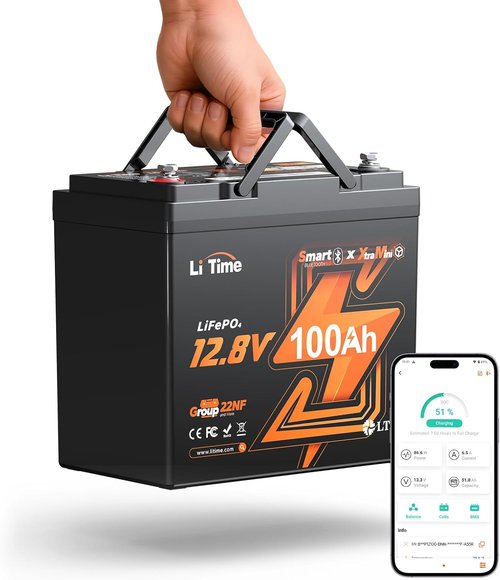 Litime 12V 100Ah Xtra Mini LiFePO4 Battery - Bluetooth, 15000 Deep Cycle, 100A BMS & Low Temp Protection for RVs & Marine