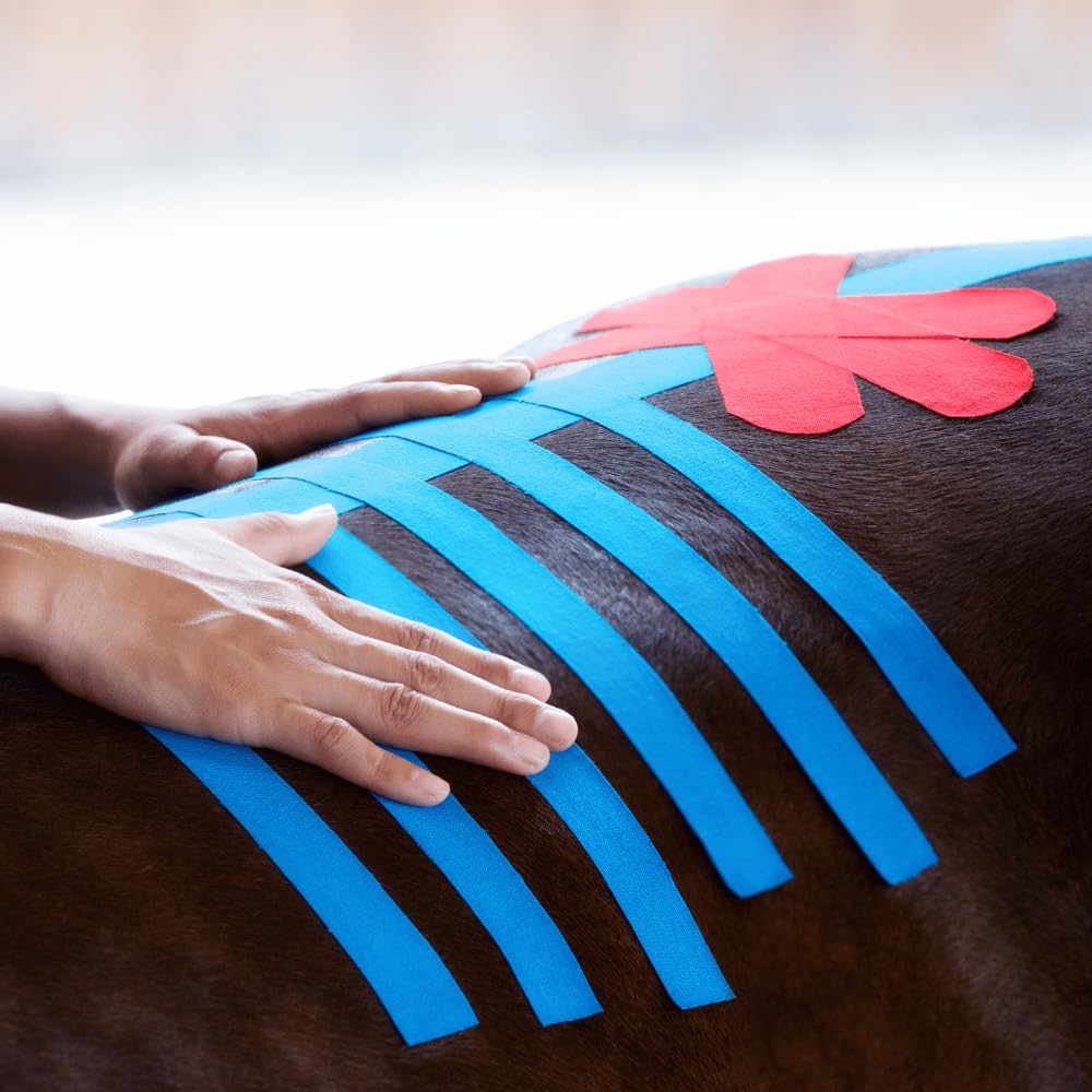 VetkinTape® Veterinary Kinesiology Tape Blue | Kinesiology Tape for Horses & Dogs | Equine & Canine Kinesiotape | Latex Free and Quality Mark Certified Ktape | 4 inch | Pack of 1 Roll