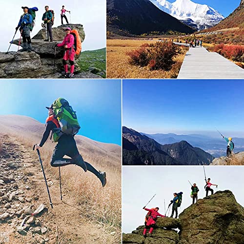 10 Pack Trekking Pole Tips - Durable Rubber Hiking Accessories