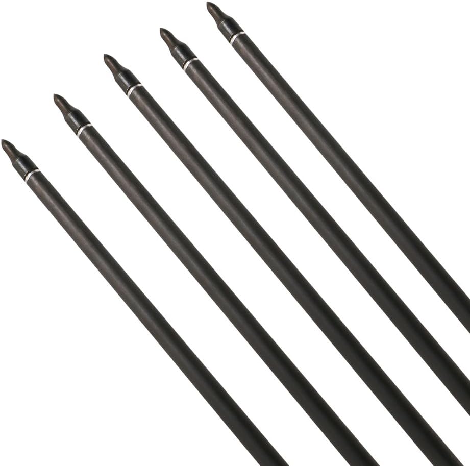 Skiennix 32 Inch Carbon Archery Arrows - Spine 400 with Removable Tips & 4 Inch Turkey Feathers | 6 Pack for Hunting & Target Practice