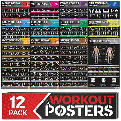 Large Workout Poster Set - 12-Pack Home Gym Exercise Charts - Dark