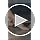 Canvas Pirouette II Dance Shoes - Medium / Nude