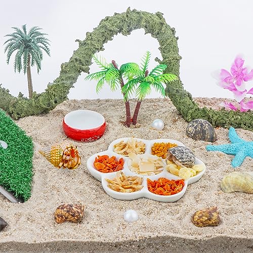 Ceramic Food Dish for Hermit Crabs - 2 Pcs with 7 Compartments