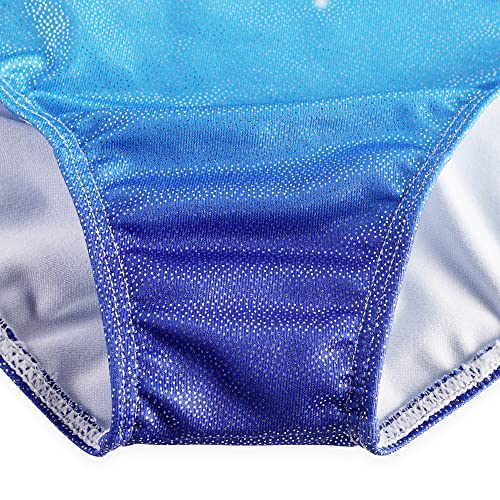 Girls Long Sleeve Sparkly Gymnastics Leotard - Purple Blue, 3-4T