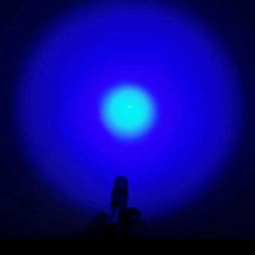 XINFEIBEI Blue Light Penlight Flashlight, Single Mode Blue Light LED Torch for Night Hiking, Hunting and Observing, 5-Pack