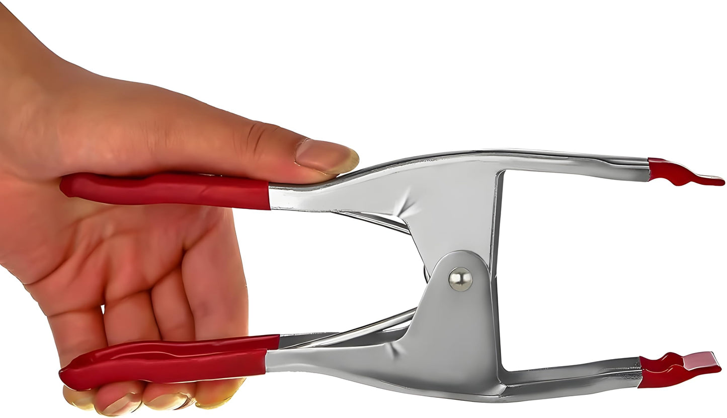 6-Pack 6-Inch Heavy Duty Spring Clamps – Metal Spring Clip Set with 2.5” Jaw Opening, Rubber Coated Handles & Tips – Strong Grip Clamps for Woodworking, DIY, Photography, Crafting