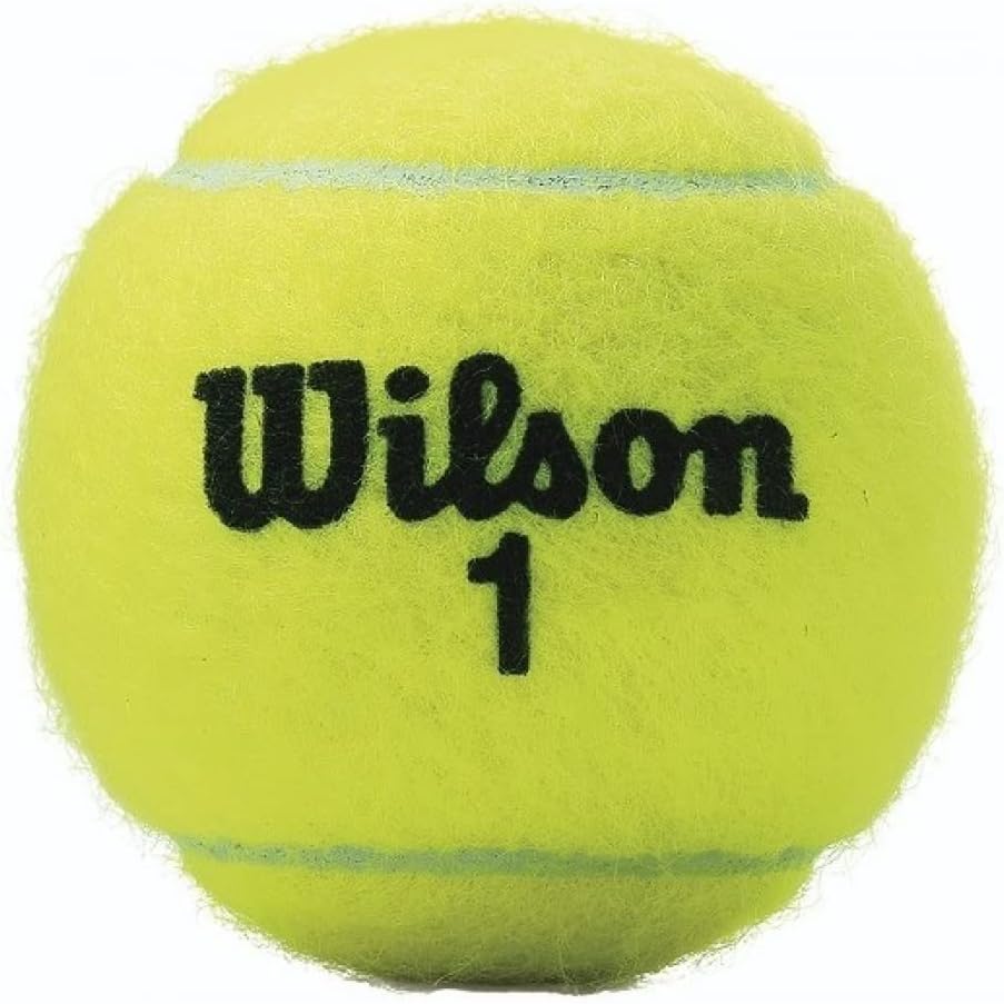 Wilson Championship Tennis Balls - Premium Performance | 3 Ball Cans, 24 Can Case