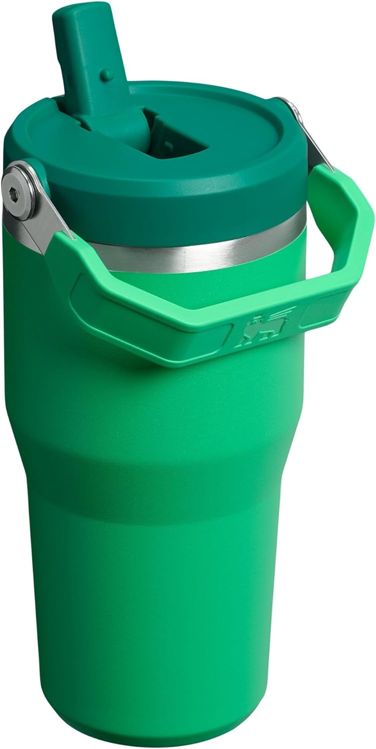 Stanley IceFlow 2.0 Tumbler - 20 oz Insulated Water Bottle with Flip Straw & Handle | BPA-Free | Meadow