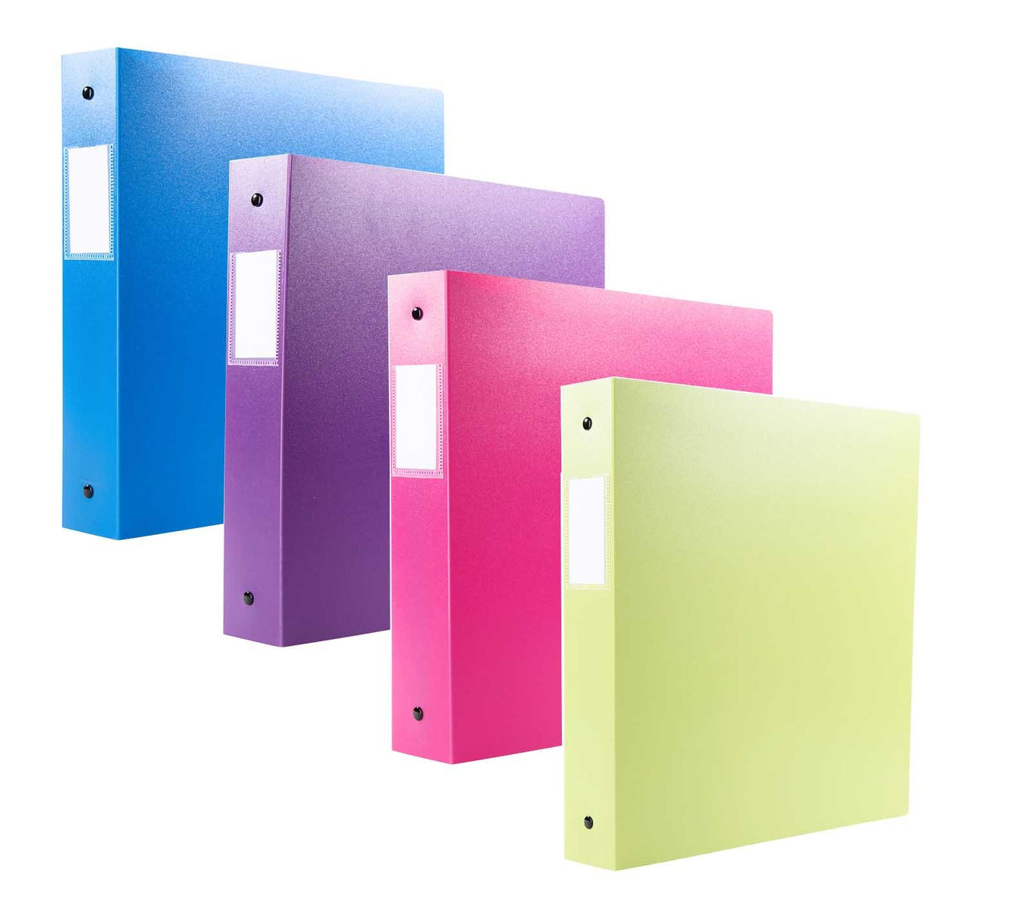 Filexec 3-Ring Binder, 1", Neon (50573-64970) - 12 Pack, Blue, Hot Pink, Purple, Green