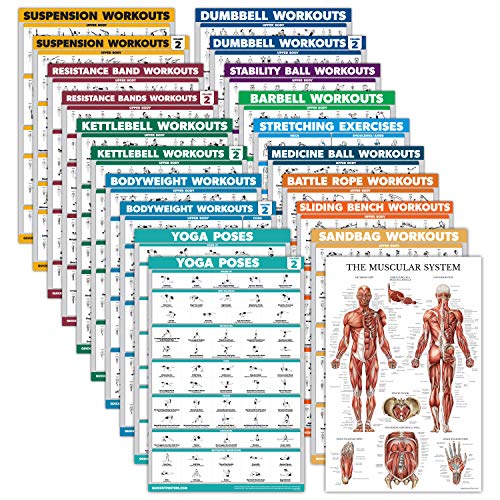 Exercise Poster Set - 20 Laminated Workout Posters (18" x 24")