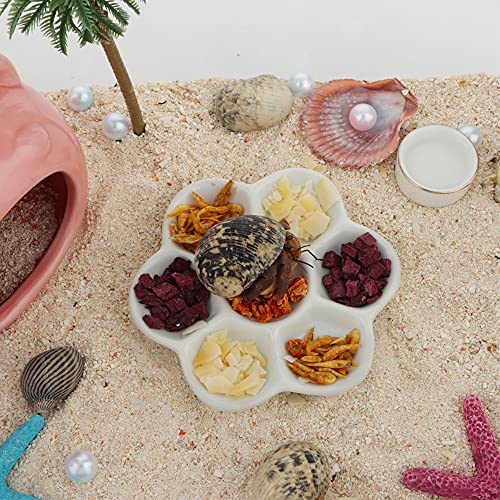 Ceramic Food Dish for Hermit Crabs - 2 Pcs with 7 Compartments