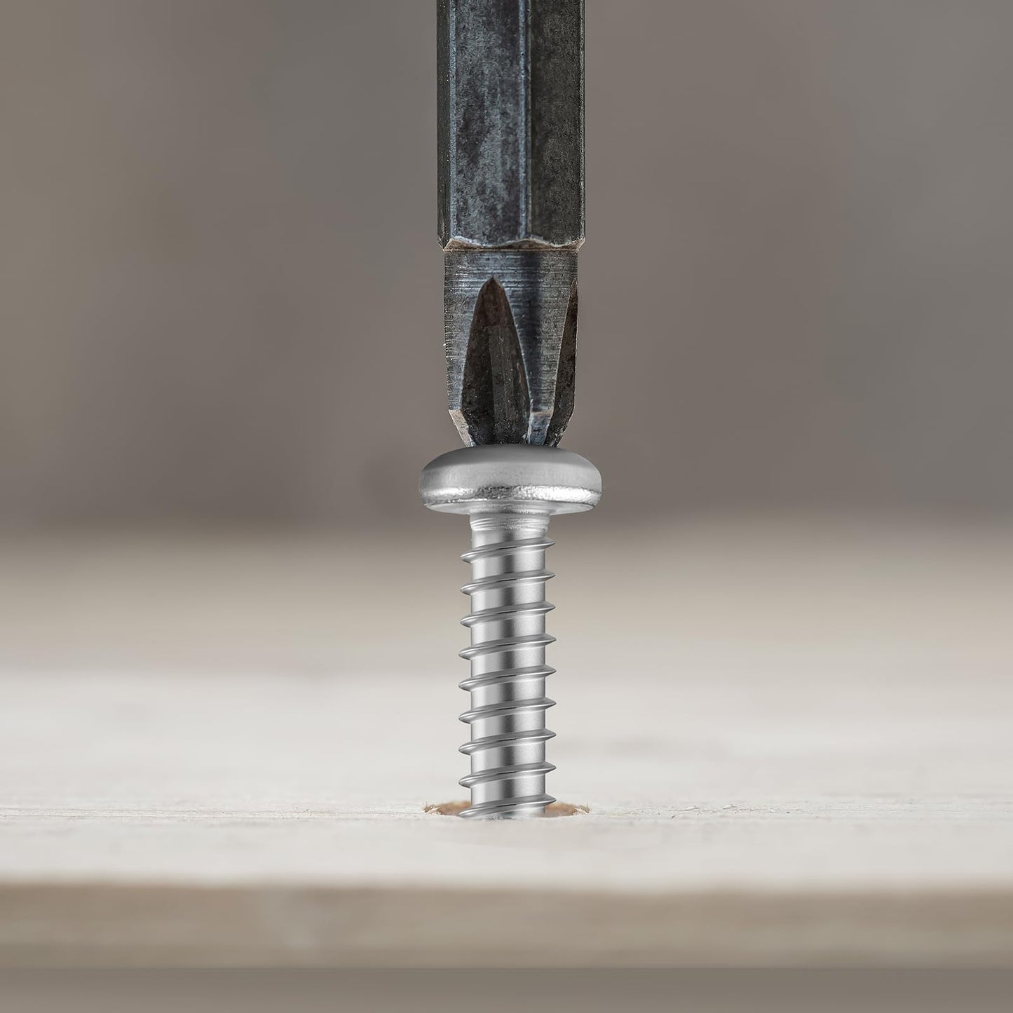 BNUOK 247Pcs Pan Head Wood Screws Assortment Kit, #6#8 Stainless Steel 304 Self Tapping Screws Set, Phillips Drive, Sheet Metal Screws