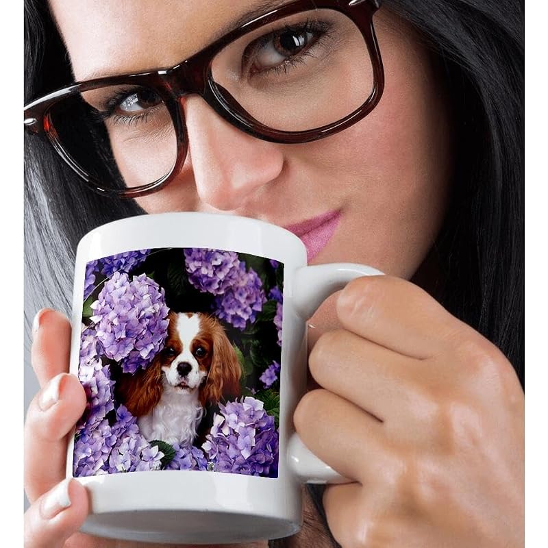 3dRose Cavalier King Charles Spaniel Mug 11-Ounce White Coffee Cup
