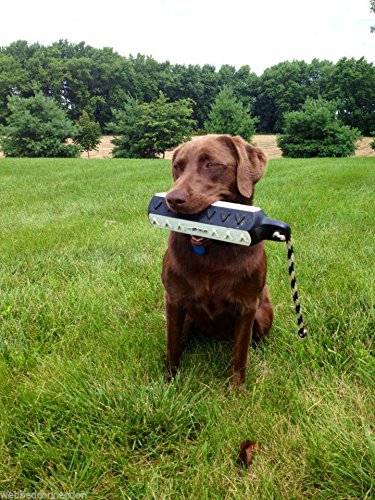Avery HexaBumper Retriever Dummy Pro Pack 6 pcs Water & Upland Training