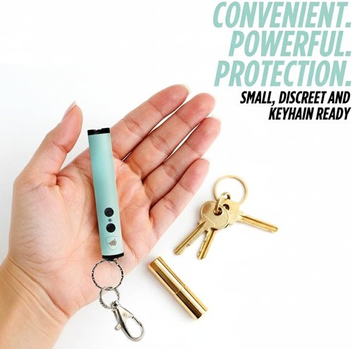 Guard Dog Security Enlight Mini Stun Gun - Keychain-Friendly Self Defense Tool with LED Flashlight & USB-C Rechargeable Design