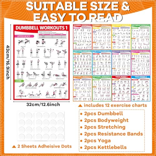 12PCS Colorful Workout Posters Set - Home Gym Exercise Charts