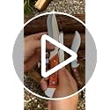 Purple Dragon 5.8 Inch Camping Fixed Blade Knife with Sheath - Full Tang 440C Steel, Redwood Handle, Outdoor Gear