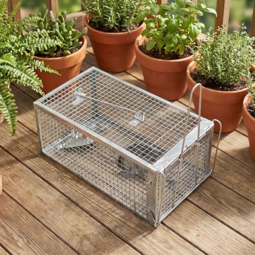 Humane Live Chipmunk Trap Cage – 2-Pack, Reusable, Instant Trigger