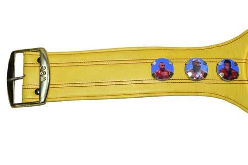 Generic WBC Championship Boxing Belt 3D Replica Adult Titles (Yellow)