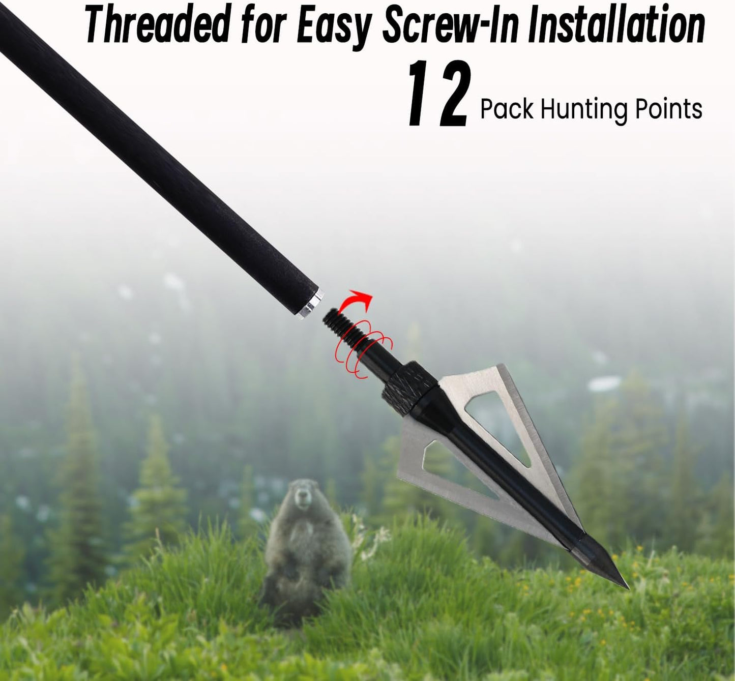 Skiennix 12Pcs Hunting Broadheads - Durable 3 Fixed Blades with Portable Case for Crossbow & Compound Bow Arrows