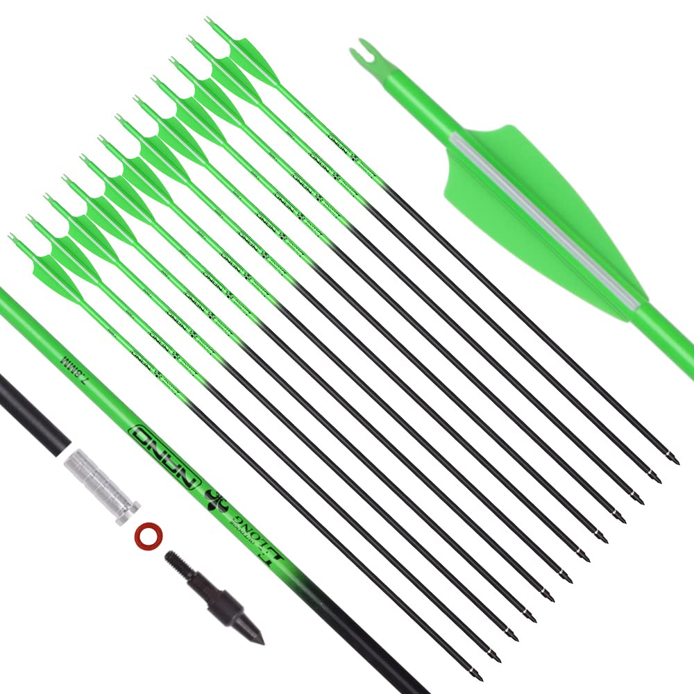 Carbon Arrow Archery 24inch Hunting Target Practice Arrows for Compound & Recurve Bow Spine 500 with Removable Tips (Pack of 12)
