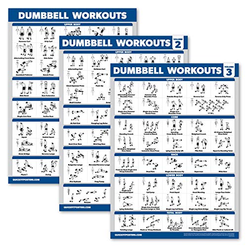 Dumbbell Workout Posters - 3 Pack Laminated Exercise Charts (18" x 24")