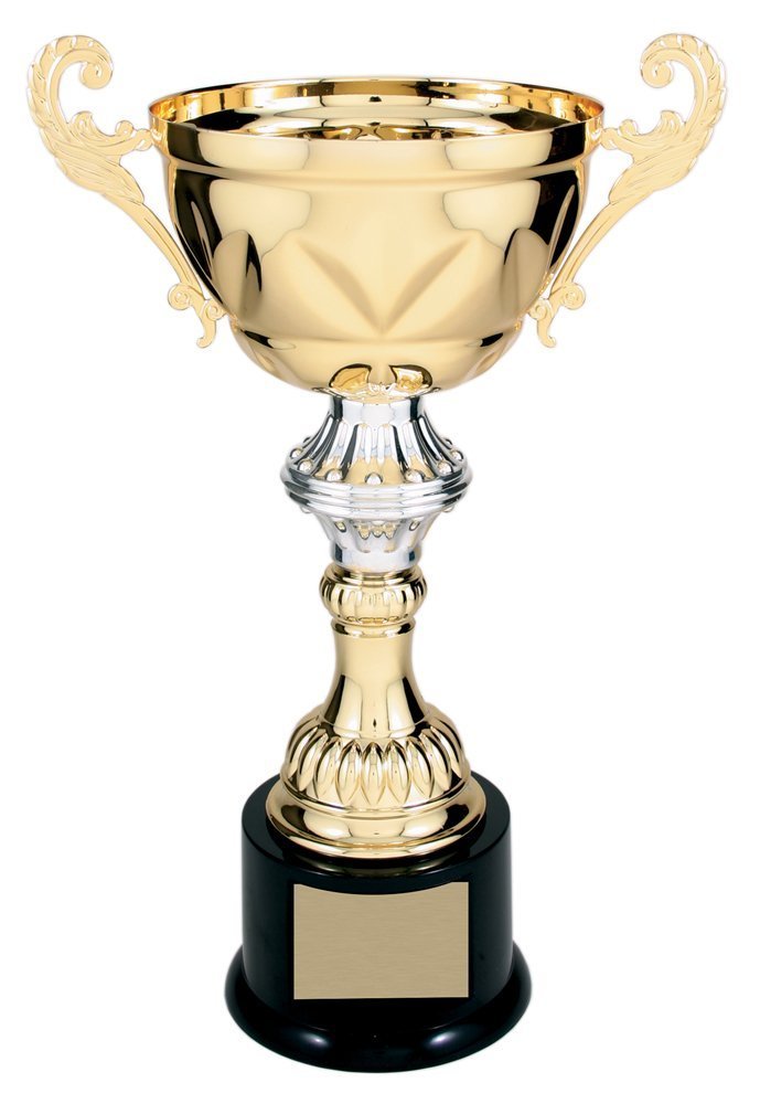 Decade Awards Gold and Silver Cup Trophy - Custom Engraved Metal Cup Corporate Award - Customize Now (G/S-10 Inch Tall)