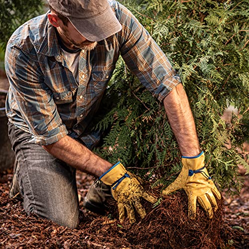 Wells Lamont Men¡¯s Adjustable HydraHyde Full Leather Work Gloves | Water-Resistant | Medium (1164M)