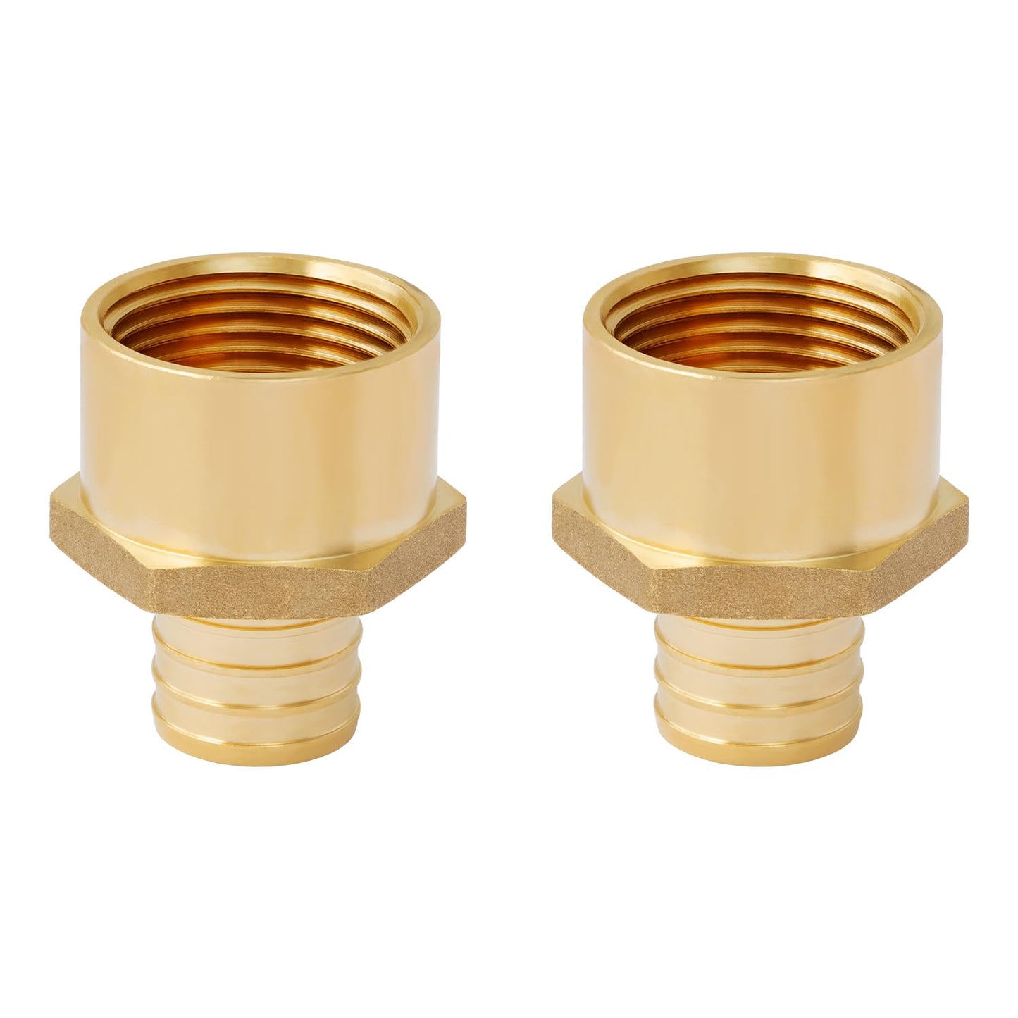 SUNGATOR 2-Pack 1" PEX to 1" Female NPT Brass Fittings, UPC Certified