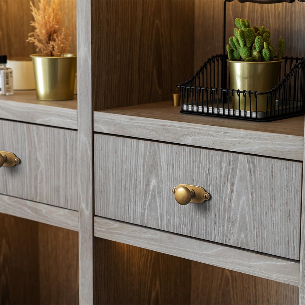 Goo-Ki Antique Brass Zinc Alloy Cabinet Knob with Backplate - Single Hole Center Cabinet Pull Hardware for Bedroom, Kitchen, 12 Pack（8611-G013）