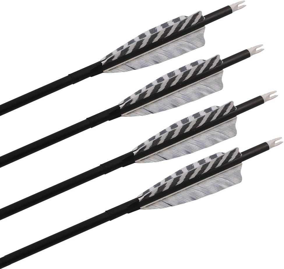 Skiennix 32 Inch Carbon Archery Arrows - Spine 400 with Removable Tips & 4 Inch Turkey Feathers | 6 Pack for Hunting & Target Practice