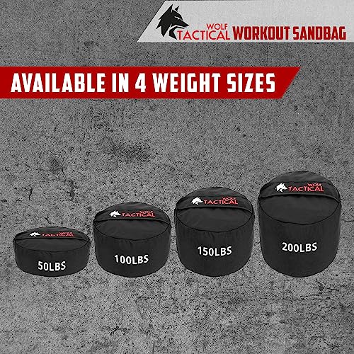 200 LB Sandbag Workout Bag for Strength Training