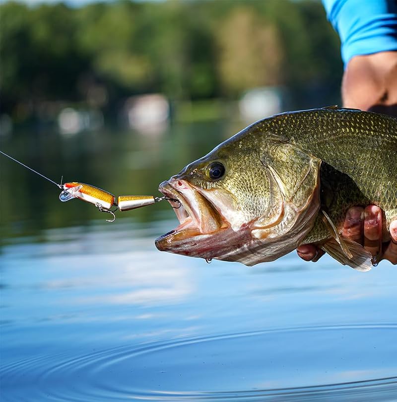 Jointed Minnow Lure - Silver - 2" Fishing Lure for Bass, Pike, Walleye