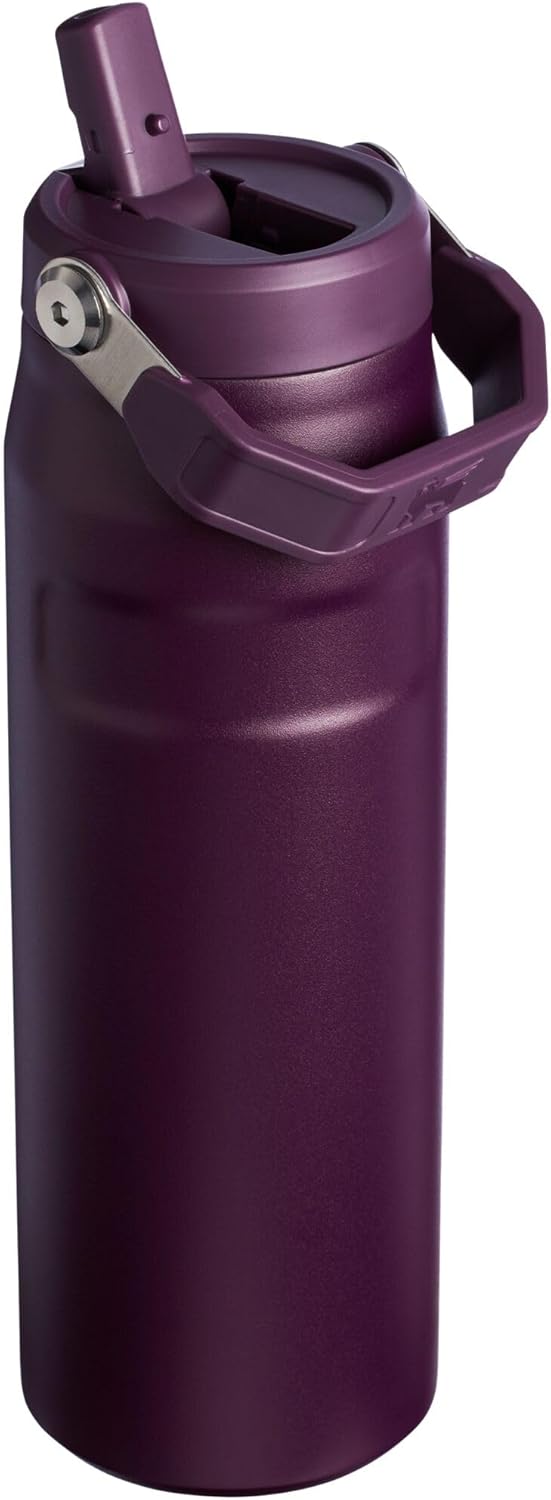 Stanley IceFlow Water Bottle 24 OZ - Insulated Stainless Steel with Built-In Straw | Lightweight & Leak-Resistant | Plum