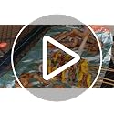 VEVOR 32x15 Inch Heavy Duty Steel Fire Pit Grill Grate with Handle, Rectangle Non-Foldable, Outdoor Camping Cooking Grid