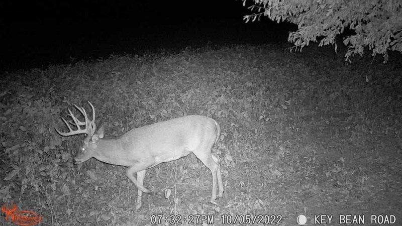 Wildgame Innovations Scrapeline 18MP Trail Camera with Batteries and SD Card