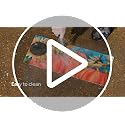 Evergreen Garden Paw Print Home Sassafras Doormat Insert - 22 x 10 inches