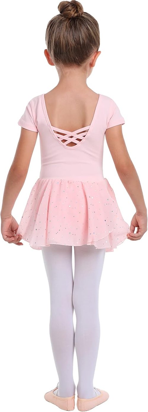 Danswan Toddler Girls Ballet Leotard - Long Sleeve Tutu Dress with Glitter Skirt | Perfect Dance Outfit