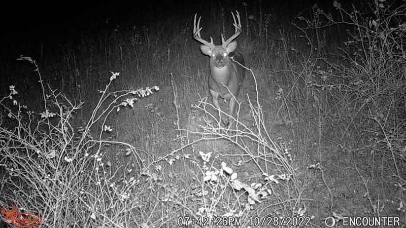 Wildgame Innovations Scrapeline 18MP Trail Camera with Batteries and SD Card